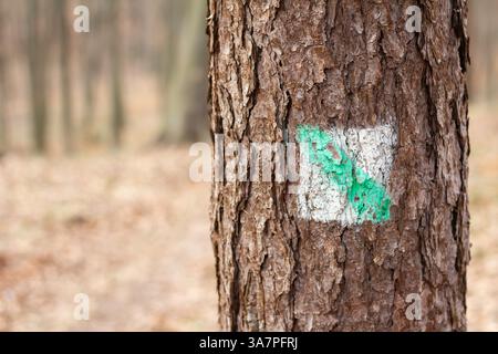 Ein Baumstamm mit einem grün-weißen Schild darauf. Das Schild ist ein Kreuz mit einem grünen Pfeil nach rechts Stockfoto