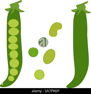 Grünes Symbol für die Farbe der Erbsen-Pod. Vektor flache grüne natürliche Lebensmittel isoliert auf weißem Hintergrund. Design für Menü, Paket, Kosmetik, Textil. Essen Sie grün Stock Vektor