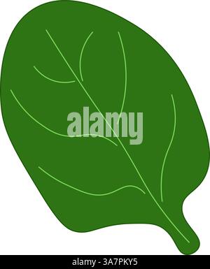 Vektor-Symbol für Spinatblätter mit Farbe. Abbildung der Vektorfaserlinie flach. Landwirtschaftliches Erzeugnis. Vegetarisches Essen frische gesunde Bio-Lebensmittel. Erntegutkonz Stock Vektor