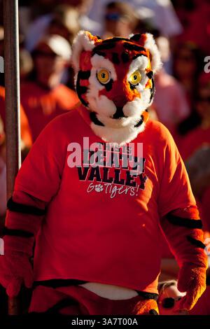 17. November 2012: Clemson, South Carolina, Vereinigte Staaten von Amerika - 17. November 2012: Der Clemson Tiger während des Spiels North Carolina State vs. Clemson im Memorial Stadium in Clemson, SC. Clemson besiegte North Carolina State 62–48. (Bild: © Jake Drake/Cal Sport Media/ZUMAPRESS.com) Stockfoto