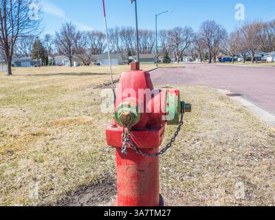 OLYMPUS DIGITALKAMERA Stockfoto