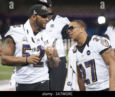 29. Januar 2013 – New Orleans, LA, USA – Ray Lewis (52) und Ray Rice (27) von den Baltimore Ravens sprechen während des Super Bowl Media Day am Dienstag, 29. Januar 2013, in New Orleans, Louisiana. (Kreditbild: © George Bridges/MCT/ZUMAPRESS.com) Stockfoto