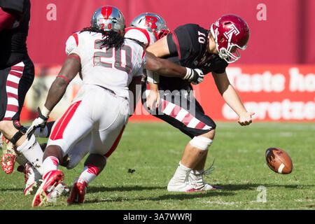 20. Oktober 2012: Chris Coyer (10) greift nach dem Ball, als Rutgers Scarlet Knights Defensive Lineman Jamil Merrell (92) ihn wegwirft, als Rutgers Scarlet Knights Linebacker Khaseem Greene (20) während des NCAA-Spiels zwischen den #15 Rutgers Scarlet Knights und den Temple Ewls im Lincoln Financial Field in Philadelphia, Pennsylvania, Pennsylvania, den Fumble Ball ansteuert. The Rutgers Scarlet Knights Beat the Temple Ewls, 35-10. (Bild: © Chris Szagola/Cal Sport Media/ZUMAPRESS.com) Stockfoto