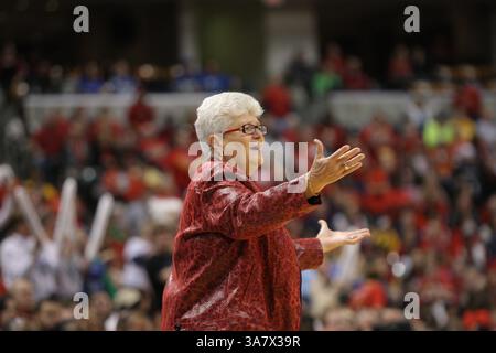 21. Oktober 2012 – Indianapolis, Indiana, USA – 21. Oktober 2012: Indiana Fever-Cheftrainer Lin Dunn reagiert auf einen Anruf im vierten Spiel des WNBA-Finals zwischen den Minnesota Lynx und dem Indiana Fever im Bankers Life Fieldhouse in Indianapolis. (Bild: © Pat Lovell/Cal Sport Media/ZUMAPRESS.com) Stockfoto