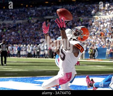 22. Oktober 2012 – Indianapolis, Indiana, USA – 21. Oktober 2012 – Indianapolis, Indiana, USA – 21. Oktober 2012: Greg Little (15), der Cleveland Browns Wide Receiver, springt für einen Touchdown während eines Spiels zwischen den Cleveland Browns und den Indianapolis Colts im Lucas Oil Stadium in Indianapolis, IN. (Kreditbild: © Pat Lovell/Cal Sport Media/ZUMAPRESS.com) Stockfoto