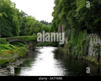 19. August 2011 – Causeway Coast, Nordirland, Großbritannien – entlang der Causeway Coastal Route, einer 120 km langen Straße, die von Belfast nach Londonderry (Derry) führt. (Bild: © Deirdre Hamill/ZUMAPRESS.com) Stockfoto