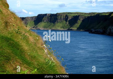 19. August 2011 – Causeway Coast, Nordirland, Großbritannien – entlang der Causeway Coastal Route, einer 120 km langen Straße, die von Belfast nach Londonderry (Derry) führt. (Bild: © Deirdre Hamill/ZUMAPRESS.com) Stockfoto