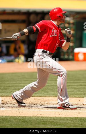 1. Mai 2013: Oakland, KALIFORNIEN, Vereinigte Staaten von Amerika - 01. Mai 2013: Der Outfield der Los Angeles Angels Josh Hamilton während eines Spiels in der Major League Baseball gegen die Athletics im O.Co Coliseum in Oakland, KALIFORNIEN. (Kreditbild: © Daniel Gluskoter/icon SMI/Cal Sport Media/ZUMAPRESS.com) Stockfoto