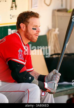 1. Mai 2013: Oakland, KALIFORNIEN, Vereinigte Staaten von Amerika - 01. Mai 2013: Der Outfield der Los Angeles Angels Josh Hamilton während eines Spiels in der Major League Baseball gegen die Athletics im O.Co Coliseum in Oakland, KALIFORNIEN. (Kreditbild: © Daniel Gluskoter/icon SMI/Cal Sport Media/ZUMAPRESS.com) Stockfoto