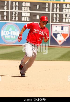 1. Mai 2013: Oakland, KALIFORNIEN, Vereinigte Staaten von Amerika - 01. Mai 2013: Der Outfield der Los Angeles Angels Mike Trout während eines Spiels in der Major League Baseball gegen die Athletics im O.Co Coliseum in Oakland, KALIFORNIEN. (Kreditbild: © Daniel Gluskoter/icon SMI/Cal Sport Media/ZUMAPRESS.com) Stockfoto