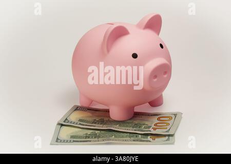 Nahaufnahme einer rosa Schweinebank mit 100-Dollar-Scheinen. Stockfoto