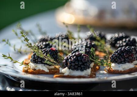 BlackBerry Hors d'oeuvres auf einem Servierteller mit Kräutern Stockfoto