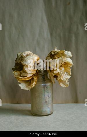 Getrocknete Pfingstrosenblüten in einer Vintage-Glasvase Stockfoto
