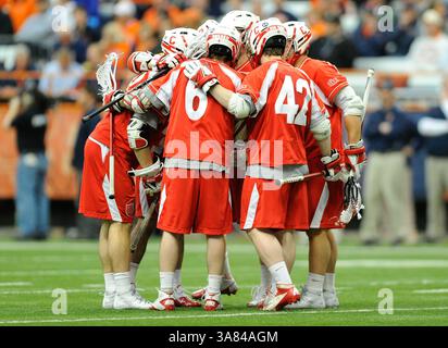 10. April 2013 – Syracuse, New York, USA – 10. April 2013: Die Spieler der Cornell Big Red feiern im ersten Quartal eines NCAA Lacrosse-Spiels zwischen den Cornell Big Red und den Syracuse Orange im Carrier Dome in Syracuse, New York. Syracuse gewann das Spiel von 13 bis 12. (Bild: © Rich Barnes/Cal Sport Media/ZUMAPRESS.com) Stockfoto