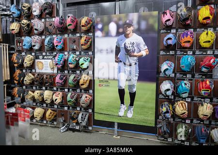 Eine Ausstellung farbenfroher Wilson Baseballhandschuhe, die vom Yankees-Slugger Aaron Judge empfohlen wurden. Bei Dick's Sporting Goods in der Roosevelt Field Mall in Long Isl. Stockfoto