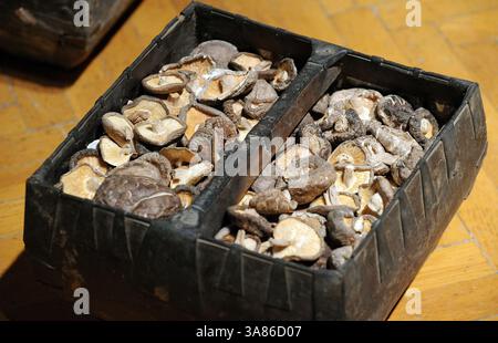 21. Januar 2013 - Oakland, CA, USA - Teil des Kunstwerkes von Hung Liu, aus Oakland, einem chinesisch-amerikanischen Künstler und Professor für Kunst am Mills College, mit dem Titel „Great Granary“, wird am 21. Januar 2013 am Mills College in Oakland, Kalifornien, ausgestellt. Lius Kunstwerke werden bis 17. März 2013 im Mills College Art Museum ausgestellt. (Kreditbild: © Doug Duran/MCT/ZUMAPRESS.com) Stockfoto