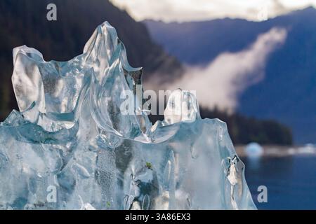 Gletschereisberg-Details aus Eis kalbten vor dem LeConte-Gletscher bei Petersberg, Südost-Alaska, USA Stockfoto