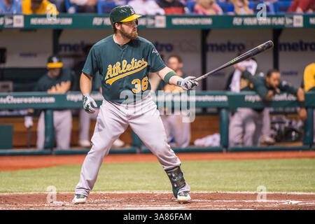 20. April 2013: Der Oakland Athletics-Fänger Derek Norris (36) beim Schläger während der Major League Baseball-Action zwischen den Oakland Athletics und den Tampa Bay Rays. Tampa Bay besiegte Oakland 1-0 auf dem Tropicana Field in St. Petersburg, FL. (Bild: © Romeo Guzman/Cal Sport Media/ZUMAPRESS.com) Stockfoto