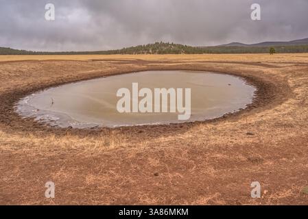 Ein Rinderteich (Viehtank), teilweise gefroren, Coconino National Forest Arizona, Vereinigte Staaten von Amerika Stockfoto