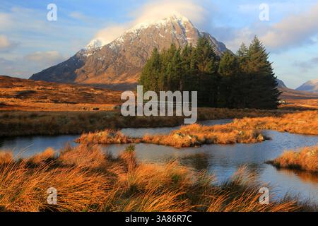 Buachaille Etive Mor, Rannoch Moor, Highland, Schottland, Vereinigtes Königreich Stockfoto