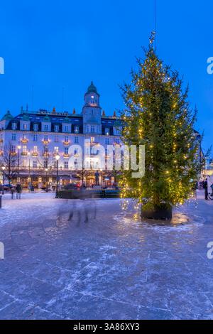 Blick auf das Grand Hotel und den Weihnachtsbaum am Karl Johans Gate im Winter in der Abenddämmerung, Oslo, Norwegen, Skandinavien Stockfoto