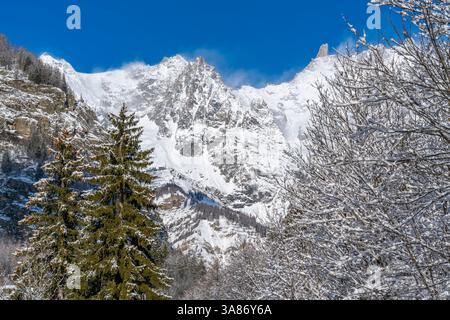 Blick auf schneebedeckte Bäume und Berge von Dolonne im Winter, Courmayeur, Aostatal, italienische Alpen, Italien Stockfoto