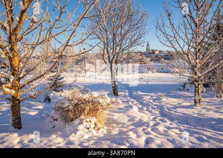 Blick auf den Tjornin Park und Hallgrimskirkja an einem sonnigen Tag im Winter, Reykjavik, Island Stockfoto