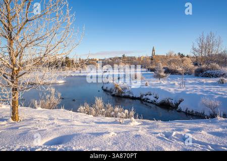Blick auf den Tjornin Park und Hallgrimskirkja an einem sonnigen Tag im Winter, Reykjavik, Island Stockfoto