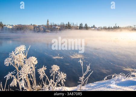 Blick auf den Tjornin Park und Hallgrimskirkja an einem sonnigen Tag im Winter, Reykjavik, Island Stockfoto