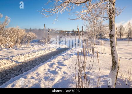 Blick auf den Tjornin Park und Hallgrimskirkja an einem sonnigen Tag im Winter, Reykjavik, Island Stockfoto