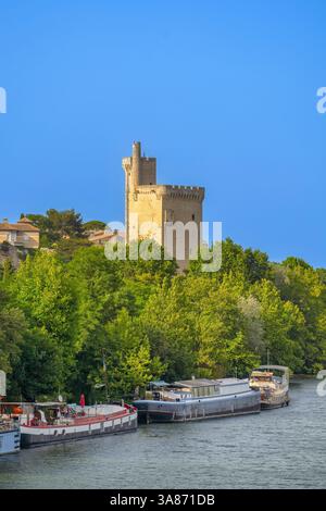 Avignon Tower, UNESCO, Rhone River, Avignon, Vaucluse, Provence-Alpes-Cote d'Azur, Frankreich Stockfoto