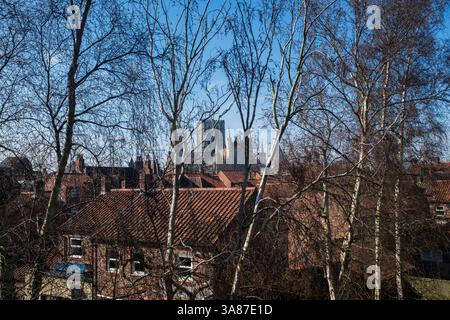 York Minster und klarer blauer Himmel, York, Großbritannien Stockfoto