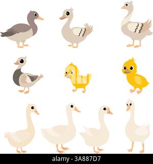 Nutztiere. Niedliche Farm. Set Enten und Gänse. Sammlung von Nutztieren. Illustration des flachen Vektors des Babys. Isoliert auf weißem Hintergrund. Stock Vektor