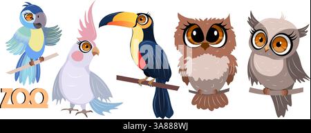 Süßer Zoo. Vektorvögel. Set Papagei, Tukan und Eule. Vektor-Tiere-Sammlung. Flache Vektorillustrationen für Kinder. Isoliert auf weißem Hintergrund. Stock Vektor