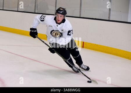 15. September 2017: Boston Bruins verließ den Verteidiger Matt Grzelcyk (48) während des Boston Bruins Trainingslagers in der Warrior Ice Arena in Brighton, Massachusetts. Eric Canha/CSM(Kreditbild: &Copy; Eric Canha/CSM via ZUMA Wire) Stockfoto