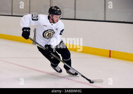 15. September 2017: Boston Bruins verließ den Verteidiger Matt Grzelcyk (48) während des Boston Bruins Trainingslagers in der Warrior Ice Arena in Brighton, Massachusetts. Eric Canha/CSM(Kreditbild: &Copy; Eric Canha/CSM via ZUMA Wire) Stockfoto