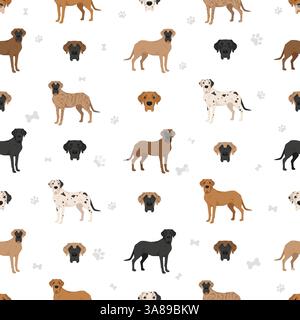 Labradane Hundemix nahtloses Muster. Labrador Retriever - tolle Dane-Mischung. Alle möglichen Fellfarben, Zuchtinformationen, Erwachsene und Welpen. Vektorillu Stock Vektor