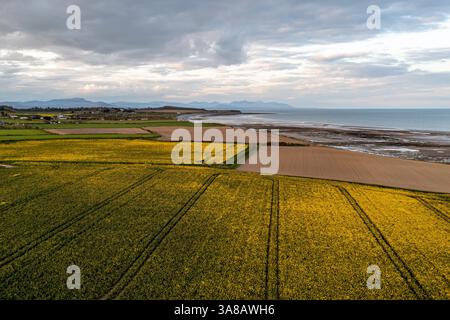 Blick Aus Der Vogelperspektive Über Clogherhead, Oriel Port, Louth Irland Stockfoto