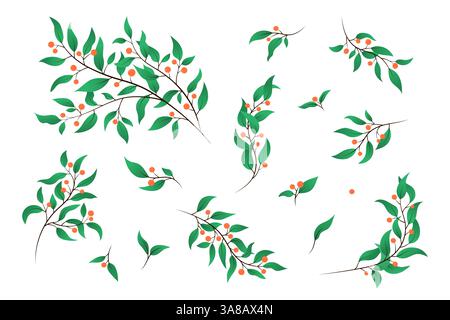 Beeren verzweigt isolierte Vektor-Clipart-Illustration. Satz von Zweigen und Blättern auf weißem Hintergrund. Empfindliche botanische Elemente für Designs. Natürlich Stock Vektor