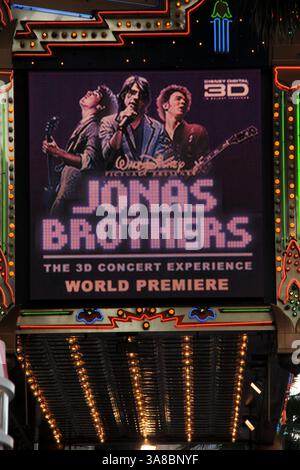 Februar 2009 - Hollywood, CA, USA - 24. Februar 2009 - Hollywood, CA - Atmosphäre. „Jonas Brothers: The 3D Concert Experience“ in Los Angeles Premiere im El Capitan Theatre. Foto: Byron Purvis/AdMedia Stockfoto