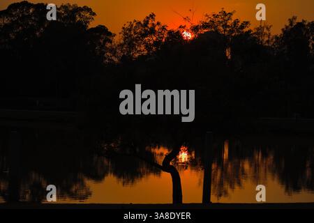 Goldener Sonnenuntergang spiegelt sich im ruhigen Wasser eines Sees. Stockfoto