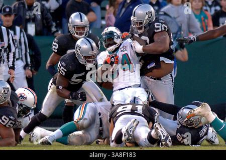 27. November 2005 Oakland, KALIFORNIEN - die Delfine Ricky Williams #34 im Kampf gegen die Oakland Raiders Sunday. Die Miami Dolphins besiegten die Oakland Raiders 33-21 im McAfee Coliseum in Oakland, Kalifornien Stockfoto