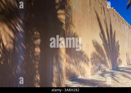 Abu Dhabi, Vereinigte Arabische Emirate, Blick auf die Steinmauer, auf die die Schatten der Palmen fallen, tagsüber Stockfoto