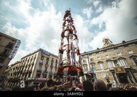 23. September 2017 - Barcelona, Katalonien, Spanien - die Casteller de Barcelona errichten während Barcelonas Stadtferien „La Merce“ einen ihrer menschlichen Türme (Bild: © Matthias Oesterle Via ZUMA Wire) Stockfoto