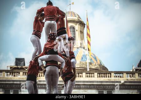 23. September 2017 - Barcelona, Katalonien, Spanien - die Casteller de Barcelona errichten während Barcelonas Stadtferien „La Merce“ einen ihrer menschlichen Türme (Bild: © Matthias Oesterle Via ZUMA Wire) Stockfoto
