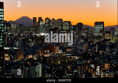 Nächtlicher Panoramablick auf die Wolkenkratzer von Shinjuku und den Fuji vom Gipfel des Bunkyo Civic Center in Tokio, Japan. Stockfoto