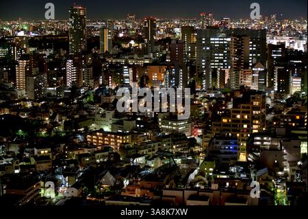 Nächtlicher Panoramablick auf die endlose Zersiedelung der Metropolstadt Tokio vom Bunkyo Civic Center, Tokio, Japan. Stockfoto