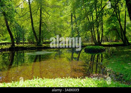 September im Park des Quellwassers des Flusses Bosna, Sarajevo, Bosnien und Herzegowina (2) Stockfoto