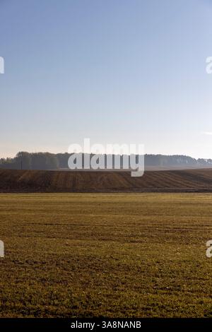 Spuren von Automobilrädern auf dem Boden , Spuren von Traktoren und anderen landwirtschaftlichen Maschinen auf dem Boden im Feld Stockfoto