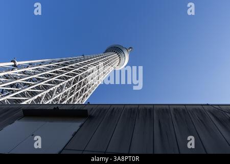 Originale Komposition, die den Tokyo Skytree von unten einfängt und sein Stahlgerüst sowie die Aussichtsplattform mit einer dramatischen Perspektive zeigt Stockfoto